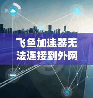 飞鱼加速器无法连接到外网,常见问题及解决方案