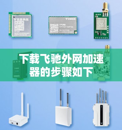 下载飞驰外网加速器的步骤如下