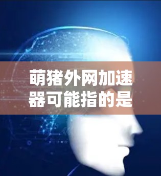 萌猪外网加速器可能指的是一种用于加速外网连接的加速工具,比如加速通、多端加速等。这些工具通常可以帮助用户在使用外网时,提升数据传输的速率,减少延迟和卡顿