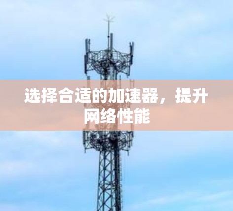 选择合适的加速器,提升网络性能 选择合适的加速器,提升网络性能
