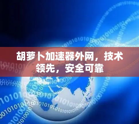 胡萝卜加速器外网,技术领先,安全可靠 胡萝卜加速器外网,技术领先,安全可靠