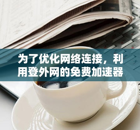 为了优化网络连接，利用登外网的免费加速器，以下是详细的步骤指南