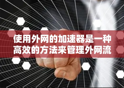 使用外网的加速器是一种高效的方法来管理外网流量并将其融入到本地服务器中。以下是一个结构化的总结，帮助您更好地理解并使用这些工具
