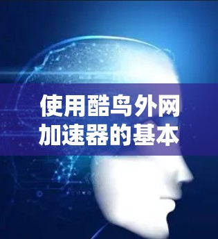使用酷鸟外网加速器的基本步骤如下 使用酷鸟外网加速器的基本步骤如下