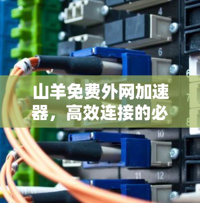 山羊免费外网加速器,高效连接的必备神器 山羊免费外网加速器,高效连接的必备神器