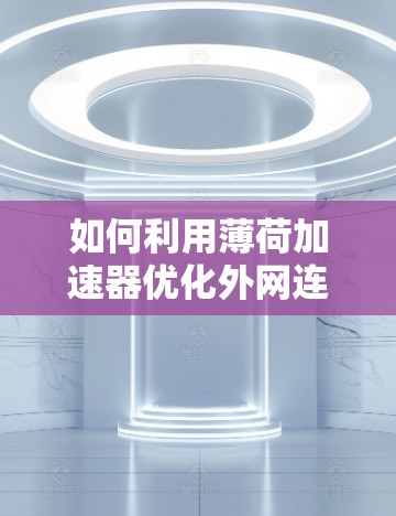 如何利用薄荷加速器优化外网连接？