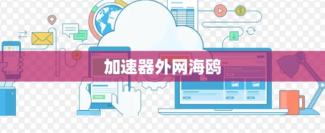加速器外网海鸥