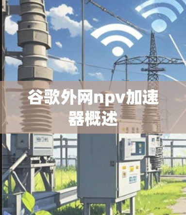 谷歌外网npv加速器概述