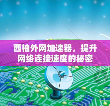 西柚外网加速器，提升网络连接速度的秘密