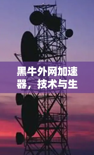 黑牛外网加速器,技术与生活的完美结合 黑牛外网加速器,技术与生活的完美结合