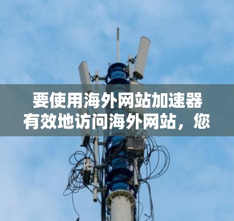 要使用海外网站加速器有效地访问海外网站，您可以按照以下步骤操作