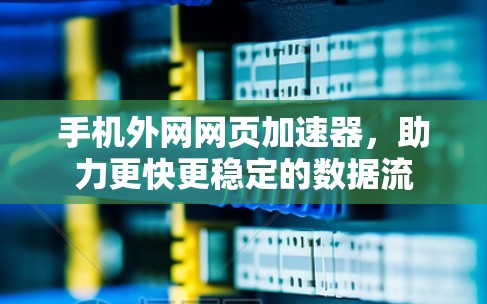 手机外网网页加速器,助力更快更稳定的数据流