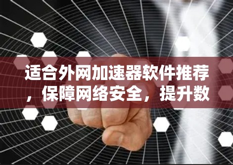 适合外网加速器软件推荐,保障网络安全,提升数据传输效率 适合外网加速器软件推荐,保障网络安全,提升数据传输效率