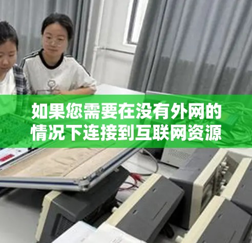 如果您需要在没有外网的情况下连接到互联网资源,可以尝试以下几种方法或工具 如果您需要在没有外网的情况下连接到互联网资源,可以尝试以下几种方法或工具