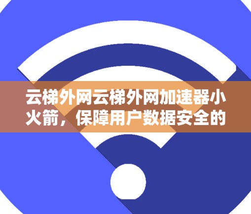 云梯外网云梯外网加速器小火箭,保障用户数据安全的未来解决方案