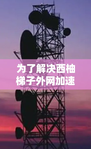 为了解决西柚梯子外网加速器的问题,我们可以从以下几个方面进行分析和创新