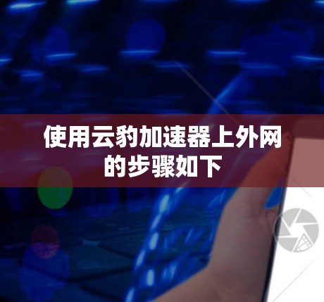 使用云豹加速器上外网的步骤如下