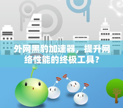 外网黑豹加速器,提升网络性能的终极工具?
