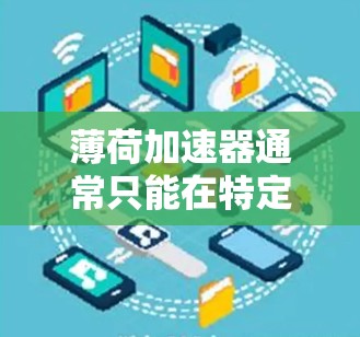 薄荷加速器通常只能在特定的摩托车型号上使用，如Volvo、McGuffin、Tesla等。因此，是否能将薄荷加速器上外网使用取决于以下几点