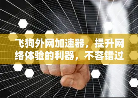 飞狗外网加速器，提升网络体验的利器，不容错过！