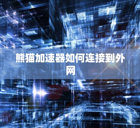 熊猫加速器如何连接到外网 熊猫加速器如何连接到外网