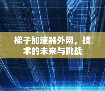 梯子加速器外网，技术的未来与挑战