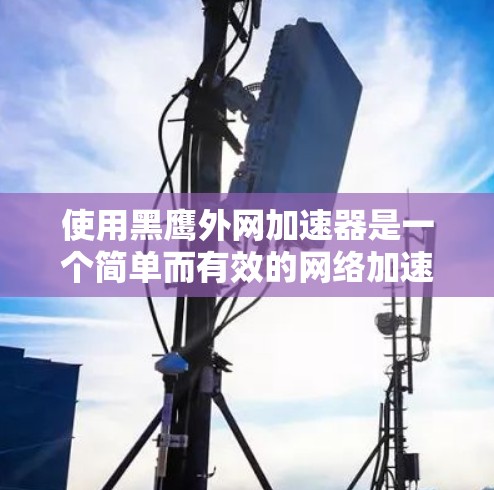 使用黑鹰外网加速器是一个简单而有效的网络加速方法,以下是一步步的指南