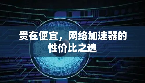 贵在便宜，网络加速器的性价比之选