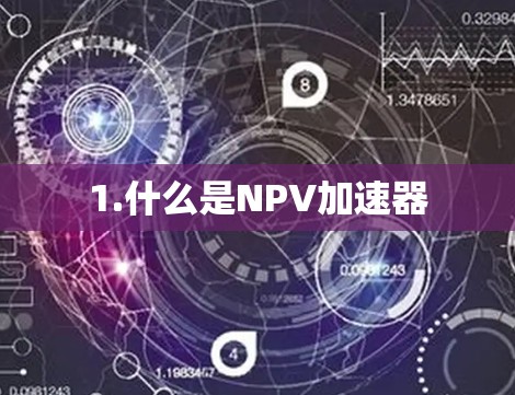 1.什么是NPV加速器