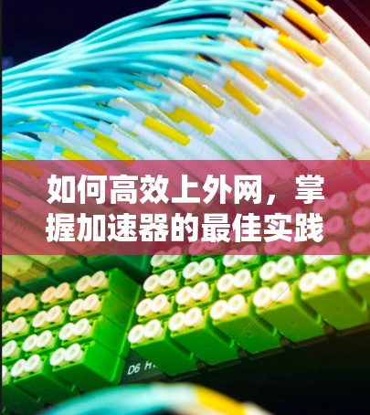 如何高效上外网,掌握加速器的最佳实践