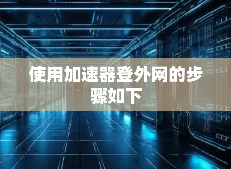 使用加速器登外网的步骤如下 使用加速器登外网的步骤如下
