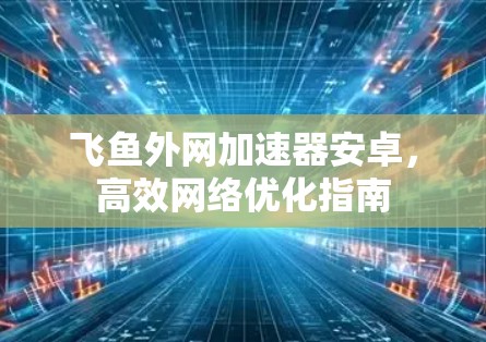 飞鱼外网加速器安卓，高效网络优化指南