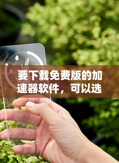 要下载免费版的加速器软件，可以选择以下工具