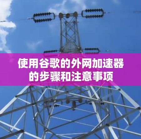 使用谷歌的外网加速器的步骤和注意事项