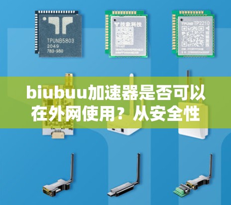 biubuu加速器是否可以在外网使用?从安全性和兼容性角度探讨