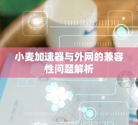 小麦加速器与外网的兼容性问题解析