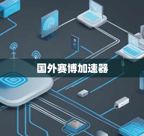 国外赛博加速器 国外赛博加速器