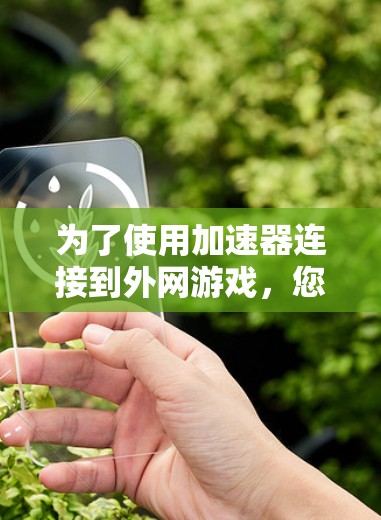 为了使用加速器连接到外网游戏,您可以按照以下步骤操作
