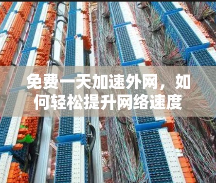 免费一天加速外网,如何轻松提升网络速度