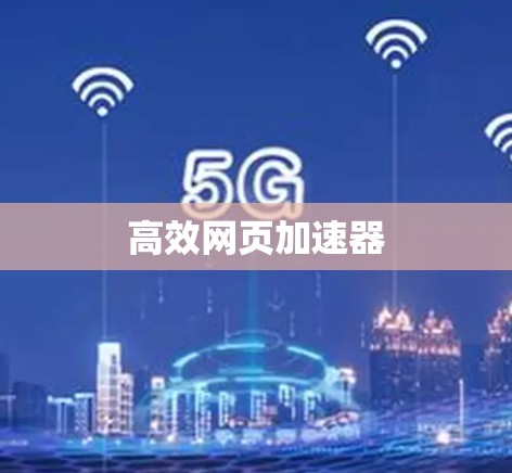 高效网页加速器 高效网页加速器