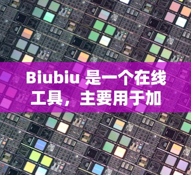 Biubiu 是一个在线工具,主要用于加速网络下载速度。如果你想通过 Biubiu 连接到外网,通常需要以下步骤