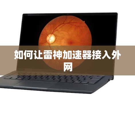 如何让雷神加速器接入外网