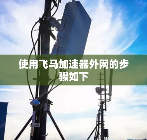 使用飞马加速器外网的步骤如下 使用飞马加速器外网的步骤如下