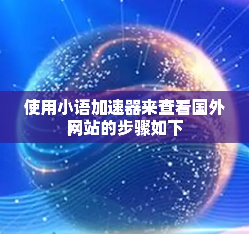 使用小语加速器来查看国外网站的步骤如下