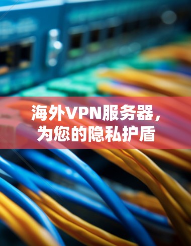 海外VPN服务器，为您的隐私护盾