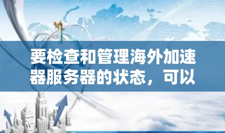 要检查和管理海外加速器服务器的状态，可以按照以下步骤进行