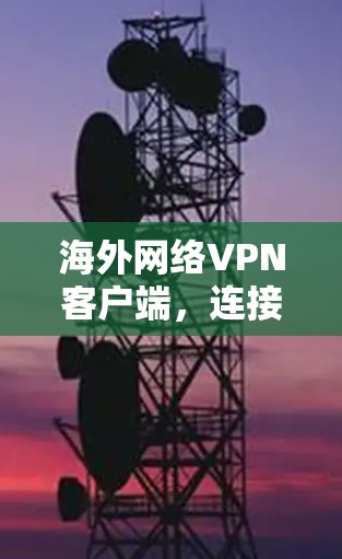 海外网络VPN客户端，连接全球网络，保障网络安全