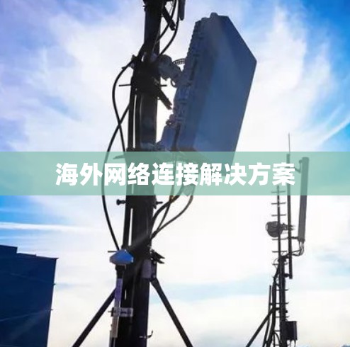 海外网络连接解决方案 海外网络连接解决方案