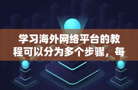 学习海外网络平台的教程可以分为多个步骤，每个步骤涉及不同的设置项和功能。以下是一个系统化的学习路径