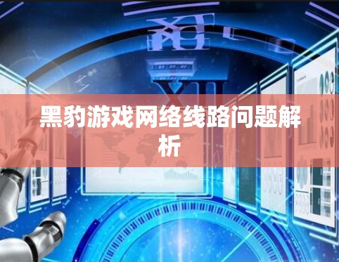 黑豹游戏网络线路问题解析 黑豹游戏网络线路问题解析
